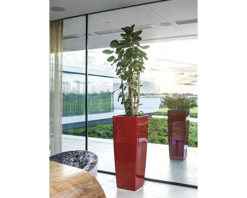 Lechuza Cubico Alto 40 plantenbak complete set H 105 cm rood