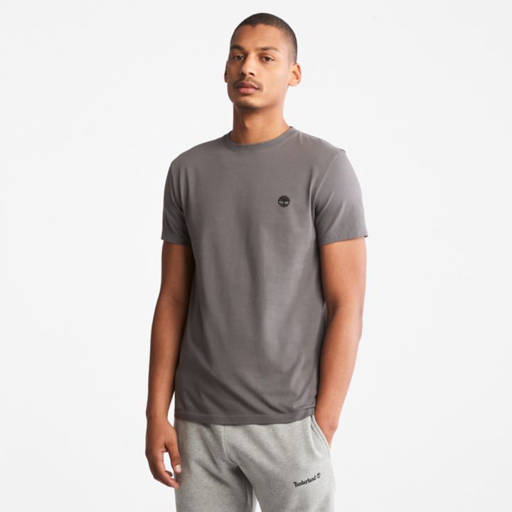 Camiseta Dunstan River Crewneck Masculina na cor Cinza