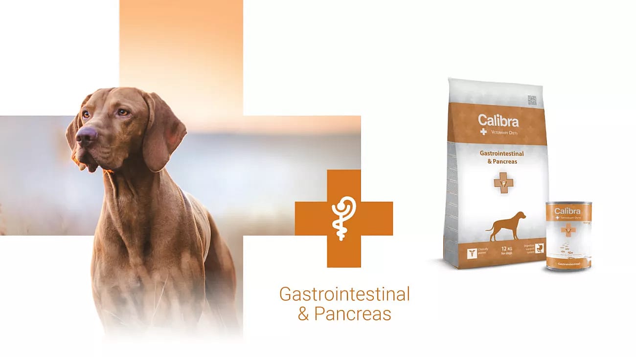Calibra Dog Veterinary Diets Gastrointestinal and Pancreas  2 kg