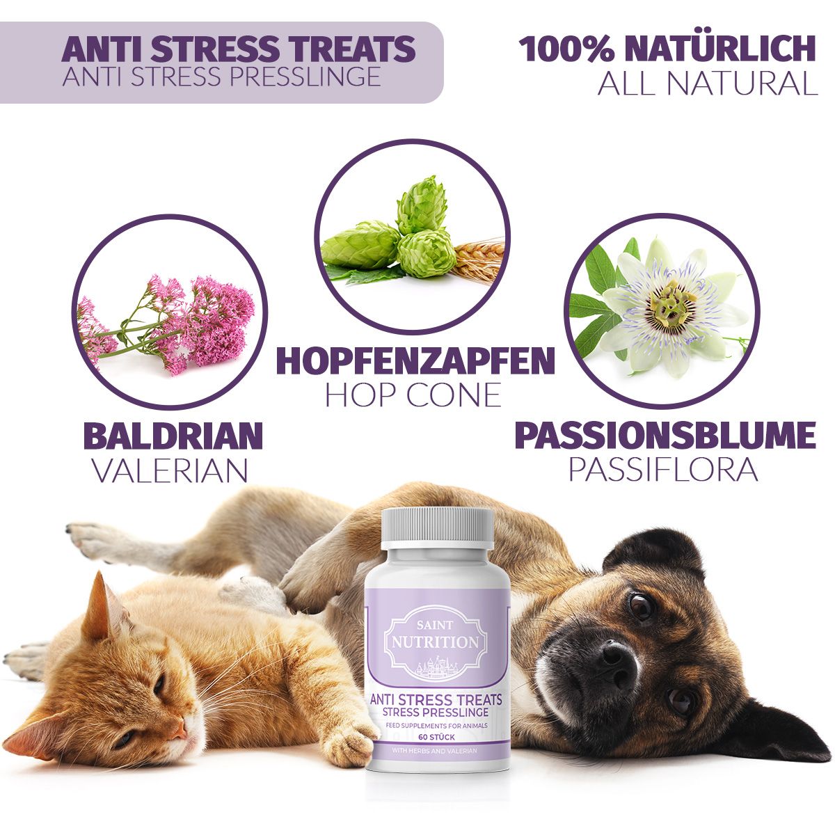 Saint Nutrition® | Anti Stress Leckerlis | für Hunde