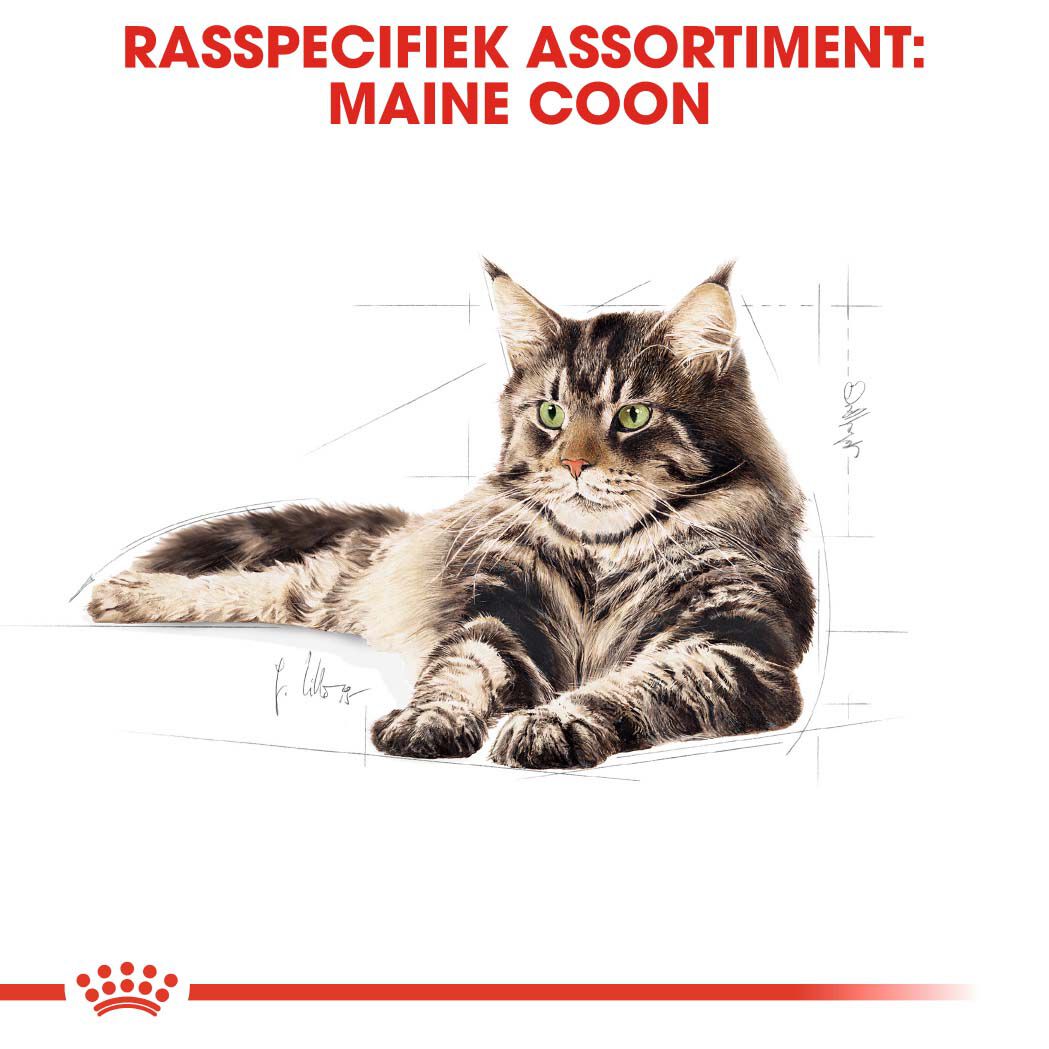 Royal Canin Maine Coon Adult Pouch - Kattenvoer - 1020 Gram