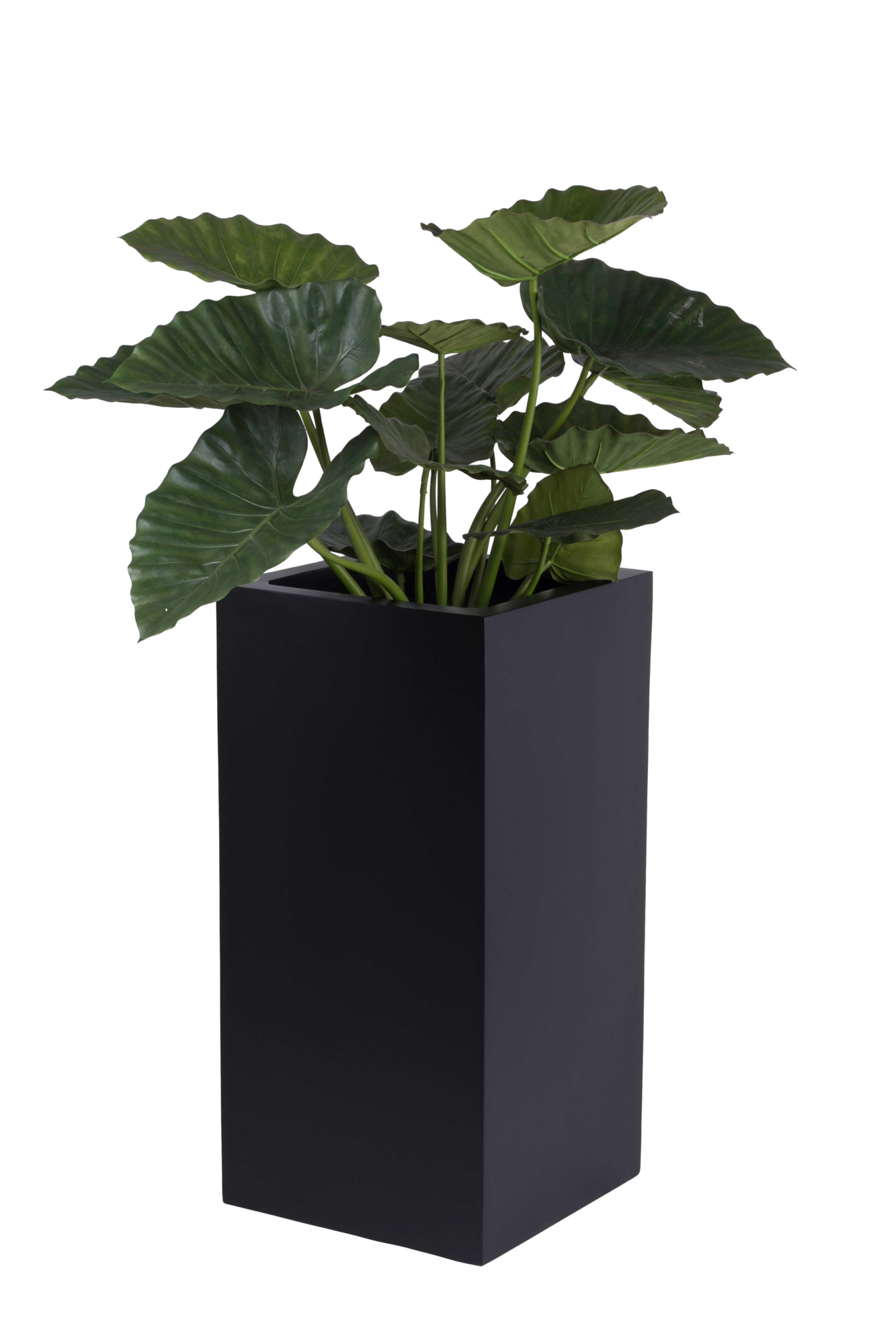 Plantenpot Michigan black L40 x B40 x H80cm