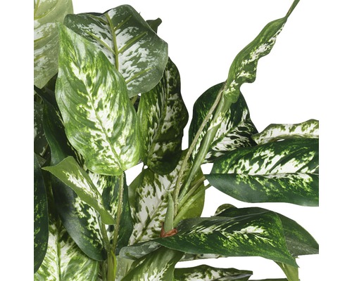 Kunstplant Dieffenbachia Dieffenbachia Ø 55 H 70 cm groen