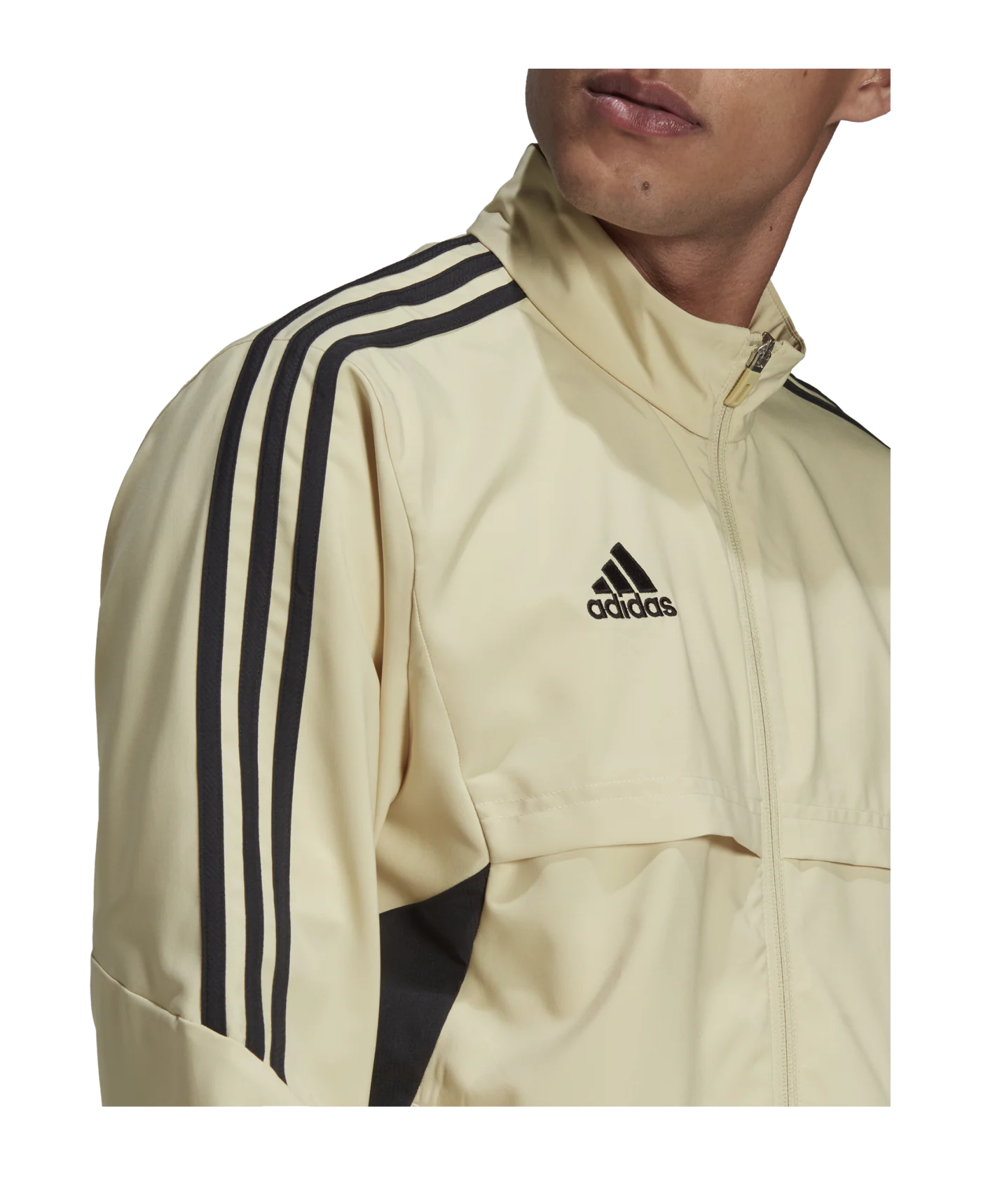 adidas Condivo 22 Präsentationsjacke Braun