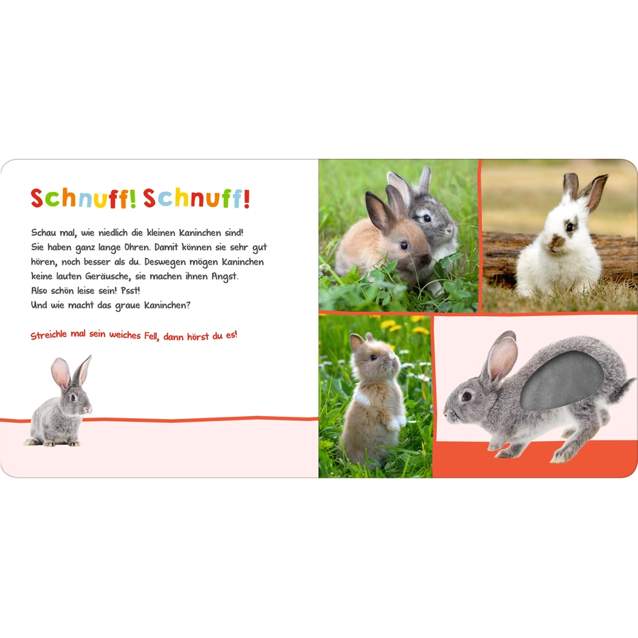 arsEdition Hör mal rein, wer kann das sein? Streicheltiere