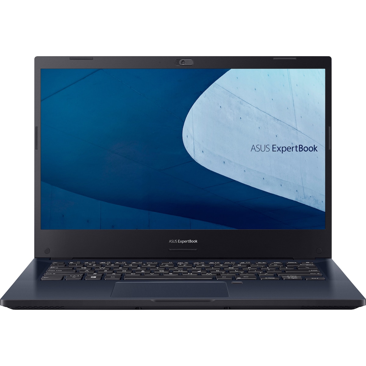 Asus ExpertBook P2 bærbar PC