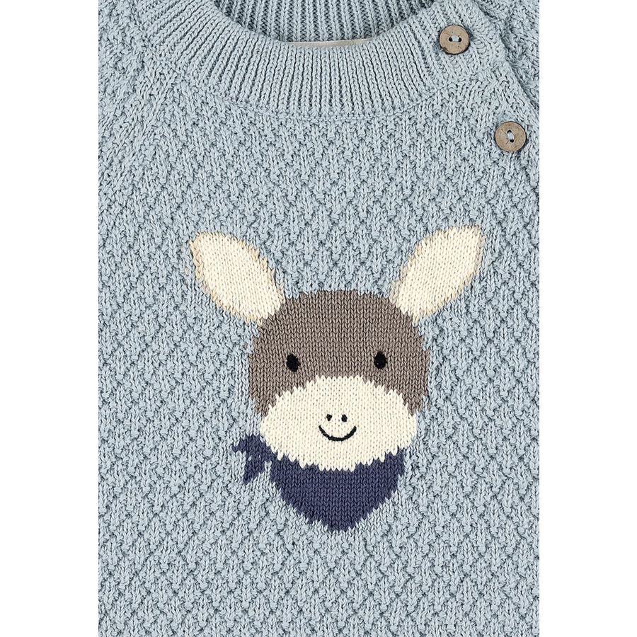 Sterntaler Strick-Pullover Emmi hellblau