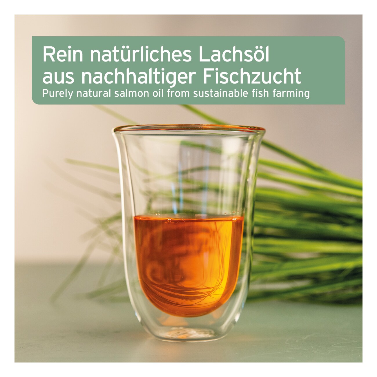 AniForte Lachsöl 5l