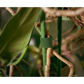 Ruban auto-agrippant - Attache rapide pour plantes