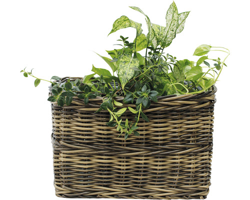 Lafiora polyrotan mand, 48 x 32 x 30 cm, bruin