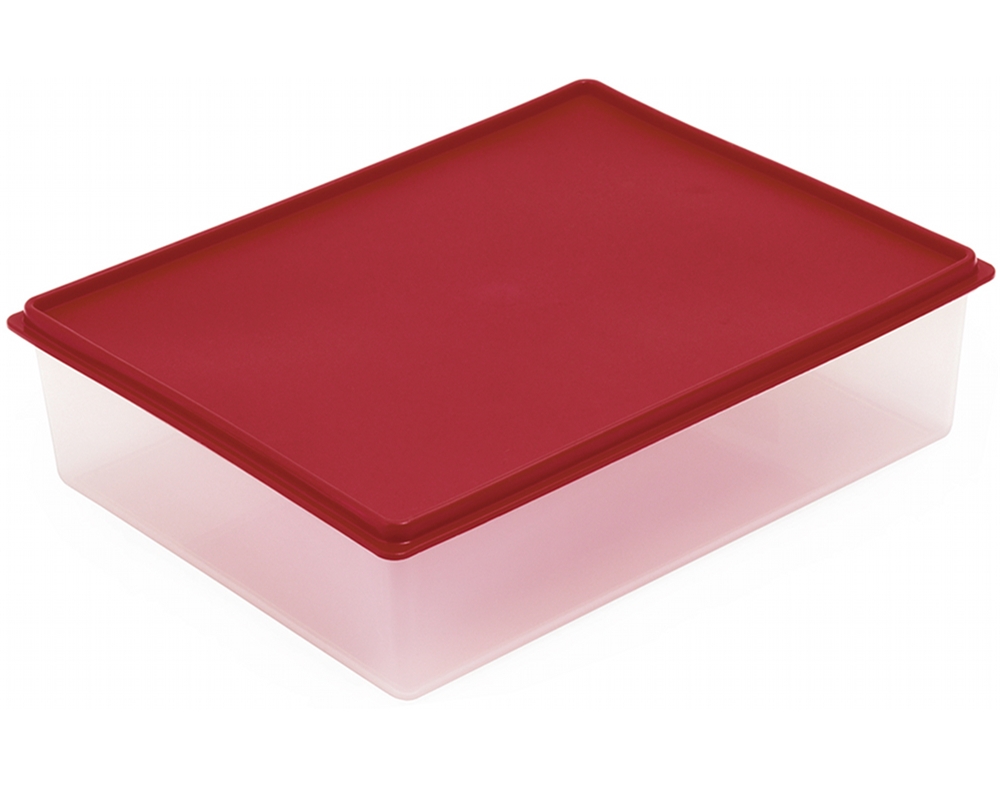 CAIXA HERMÉTICA RECTANGULAR CANASTA 5.8L
