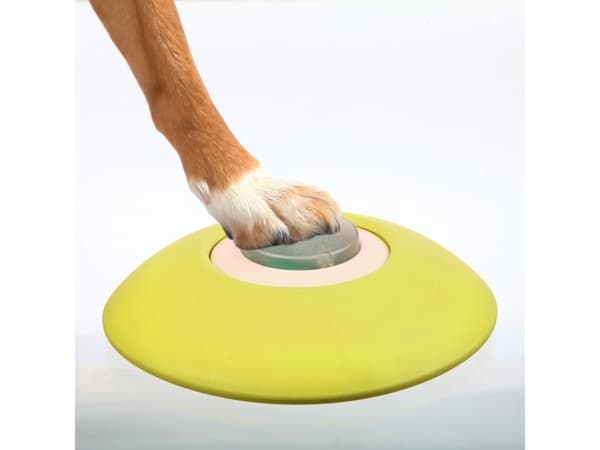 Trixie Dog Activity Memory Trainer, ø 20 × 24 cm