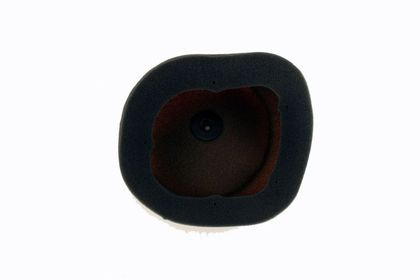Filtre à air Twin air kit Powerflow 1098958 - 154212FR