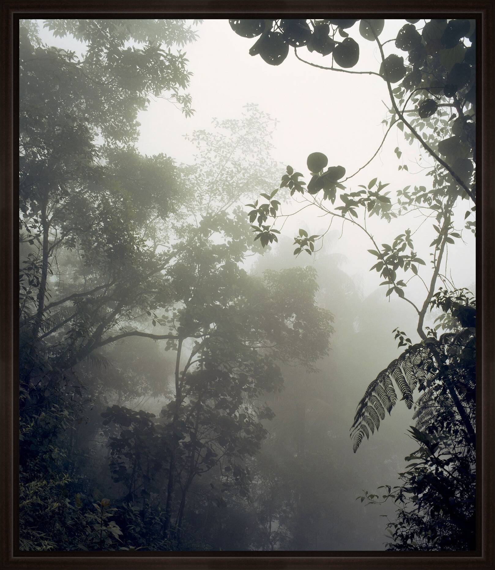 O.T. (Eldorado I) by Stephanie Kloss - Limited Edition. Edition of: 100. Signed.