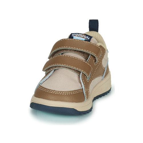 Reebok Sport - WEEBOK CLASP LOW - Marron