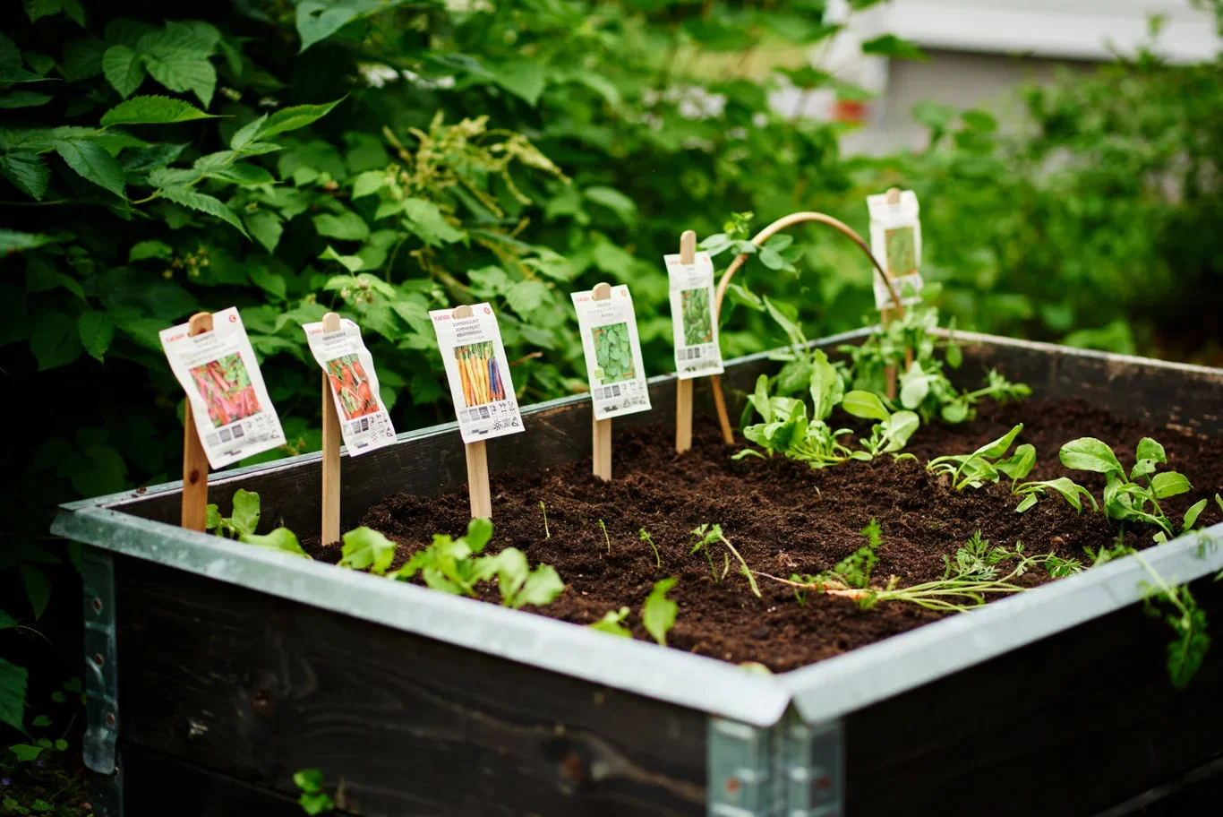 Plantagen Planteetikett i tre Lengde 30 cm