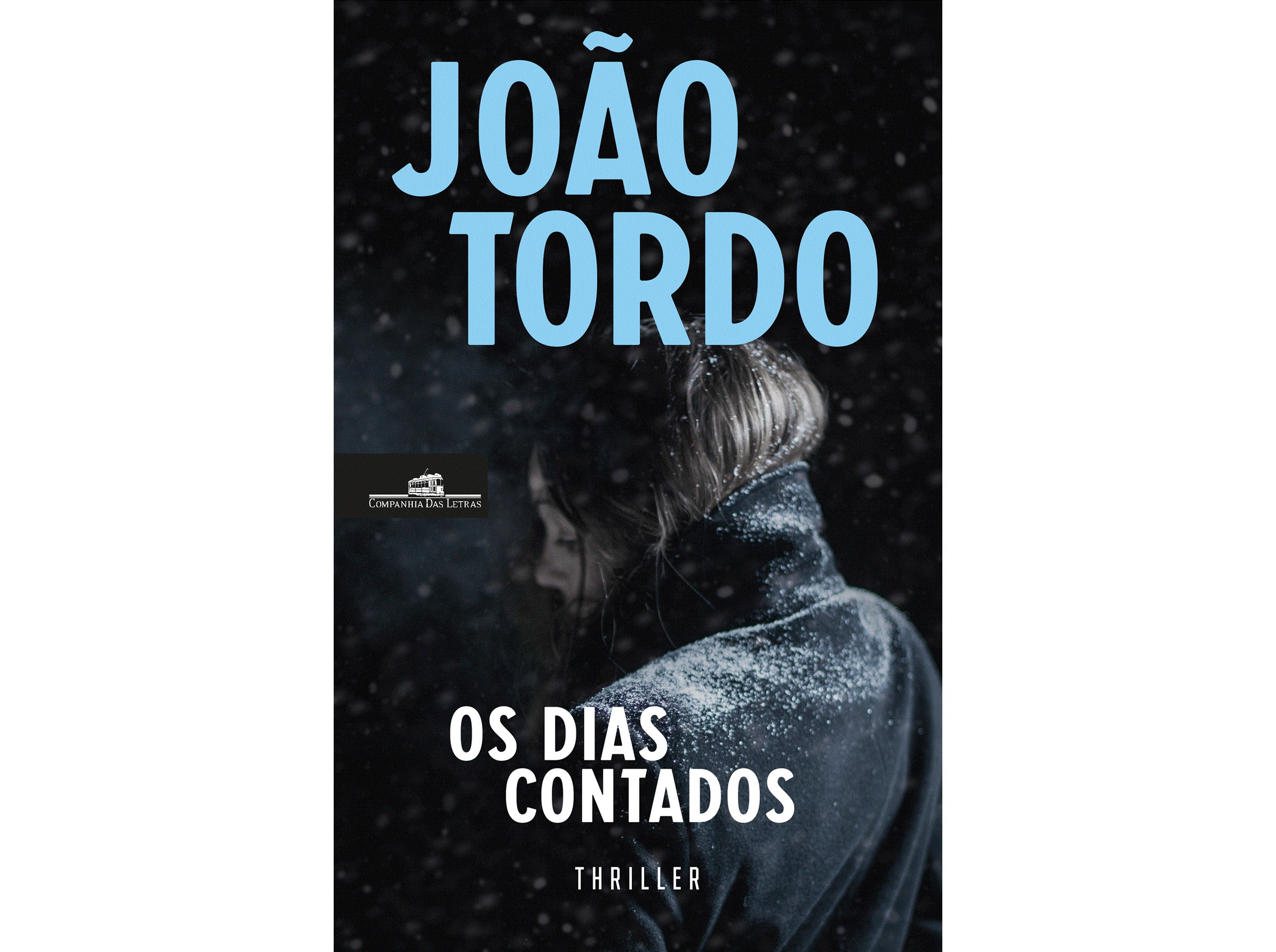 LIVRO OS DIAS CONTADOS DE JOÃO TORDO