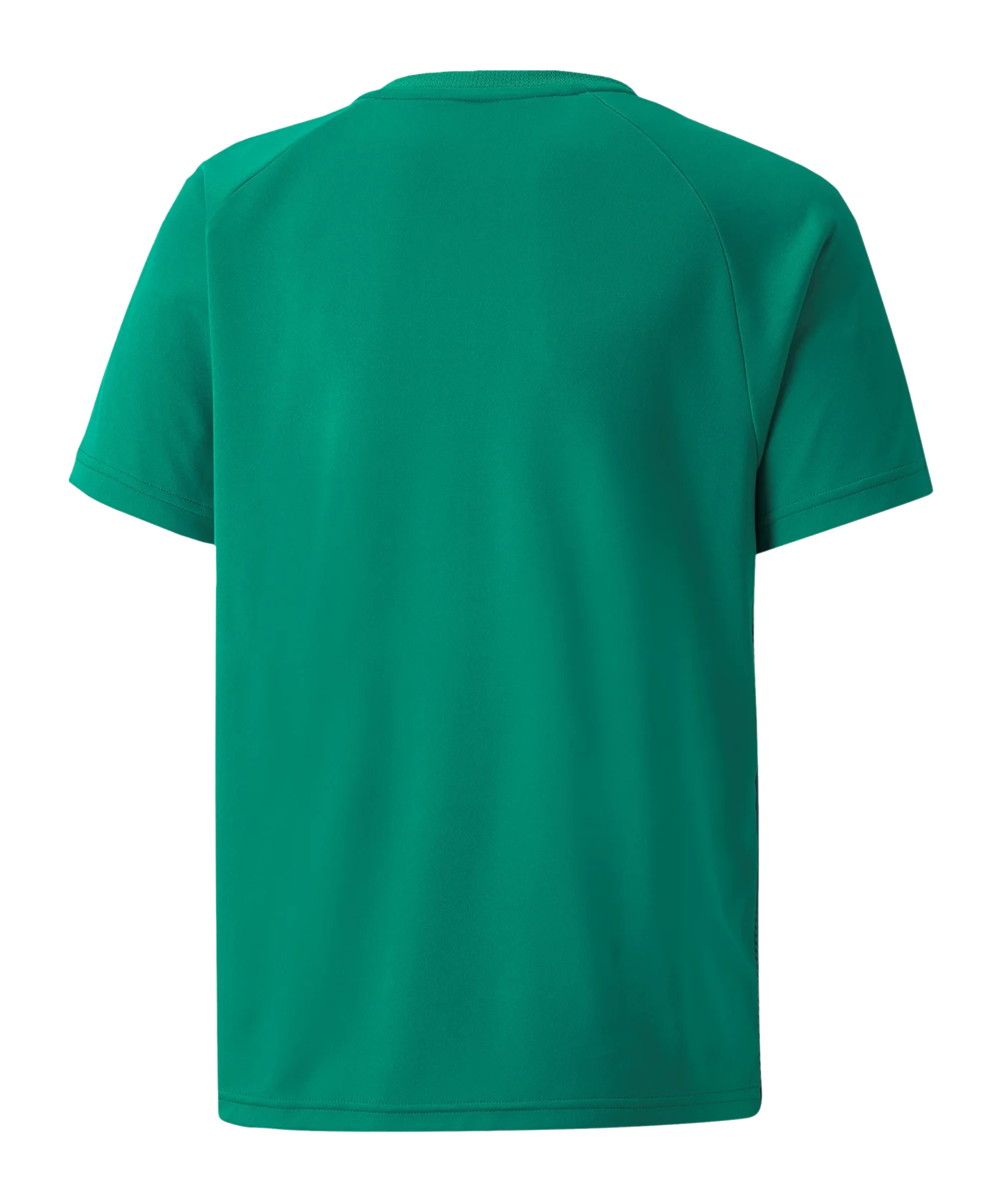 PUMA teamLIGA Striped Trikot Kids Grün Schwarz F05
