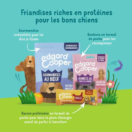 Bonbecs au canard & poulet pour chien 50g