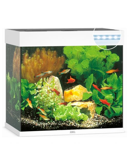 Juwel Aquarium Lido 120 Led 61x41x58 cm - Aquaria