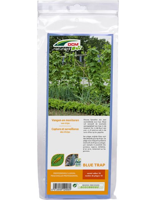 Dcm Blue-Trap - Insectenbestrijding - 126 g 10 stuks