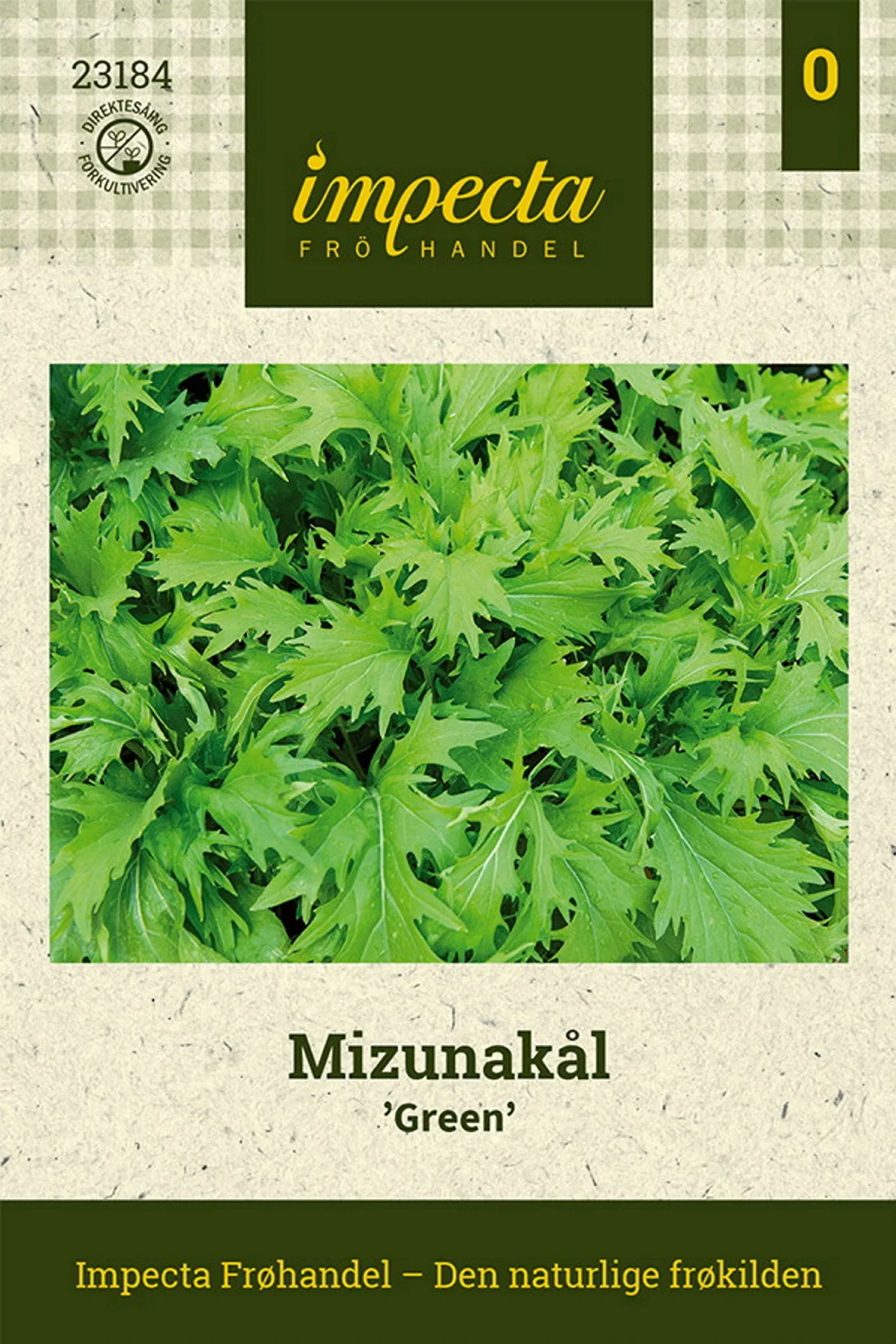 Brassica rapa 'Green' Mizunakål 'Green'