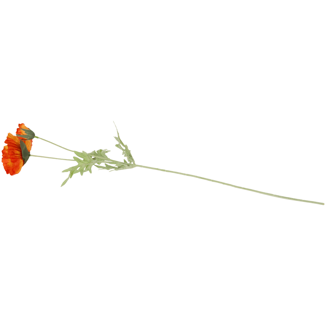 Cosmos artificielles