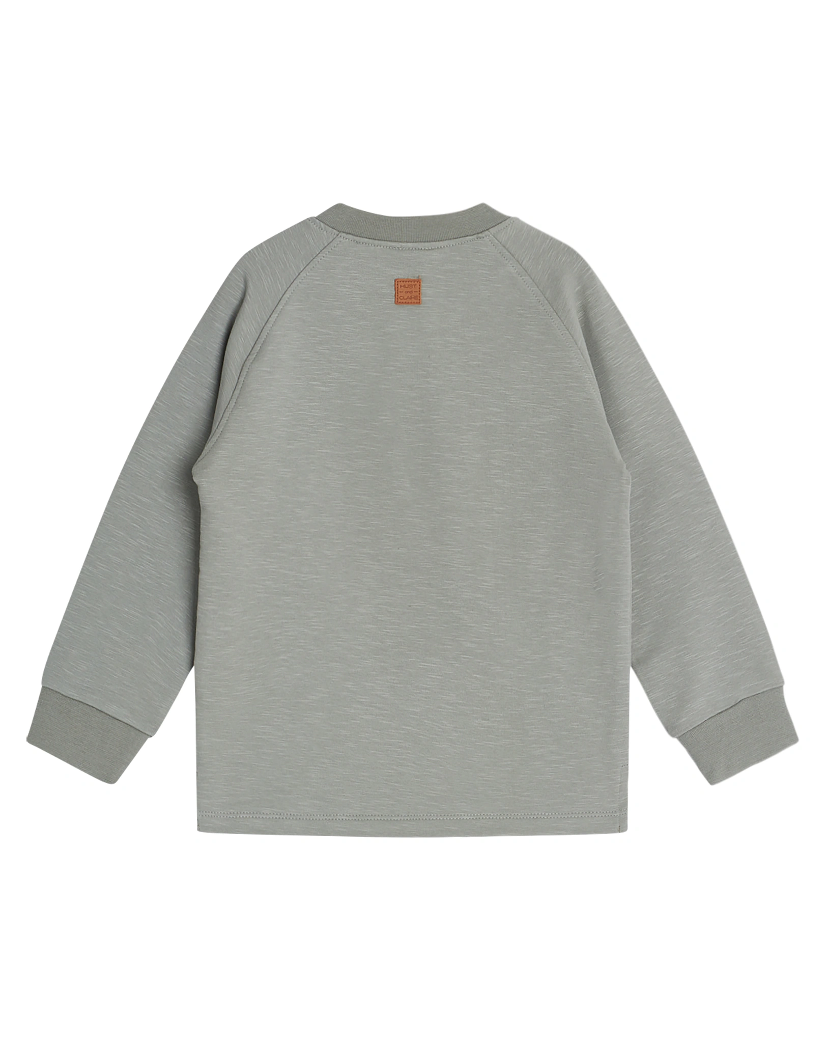 Sweatshirt ASLAK in seagrass