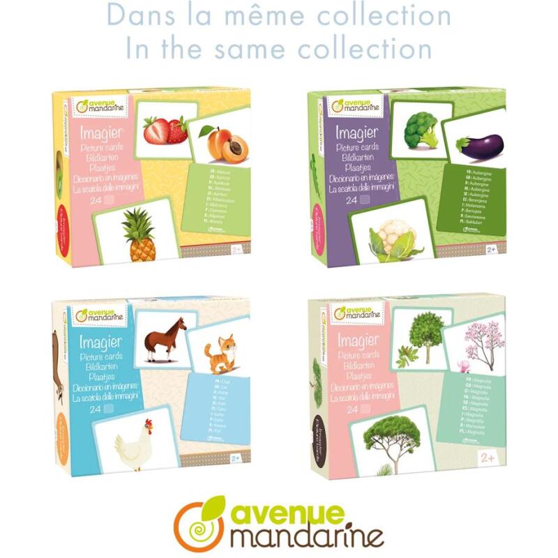 Imagier, Animaux sauvages - Multicolore