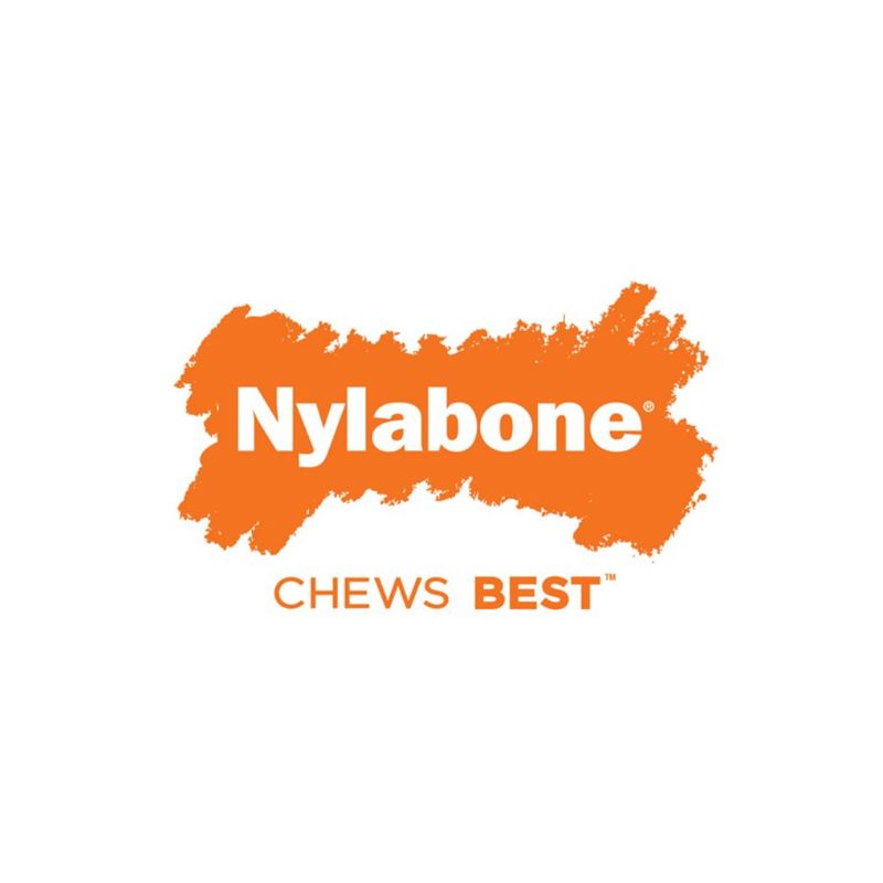 Jouet Os Nylabone Dura Chew Chicken