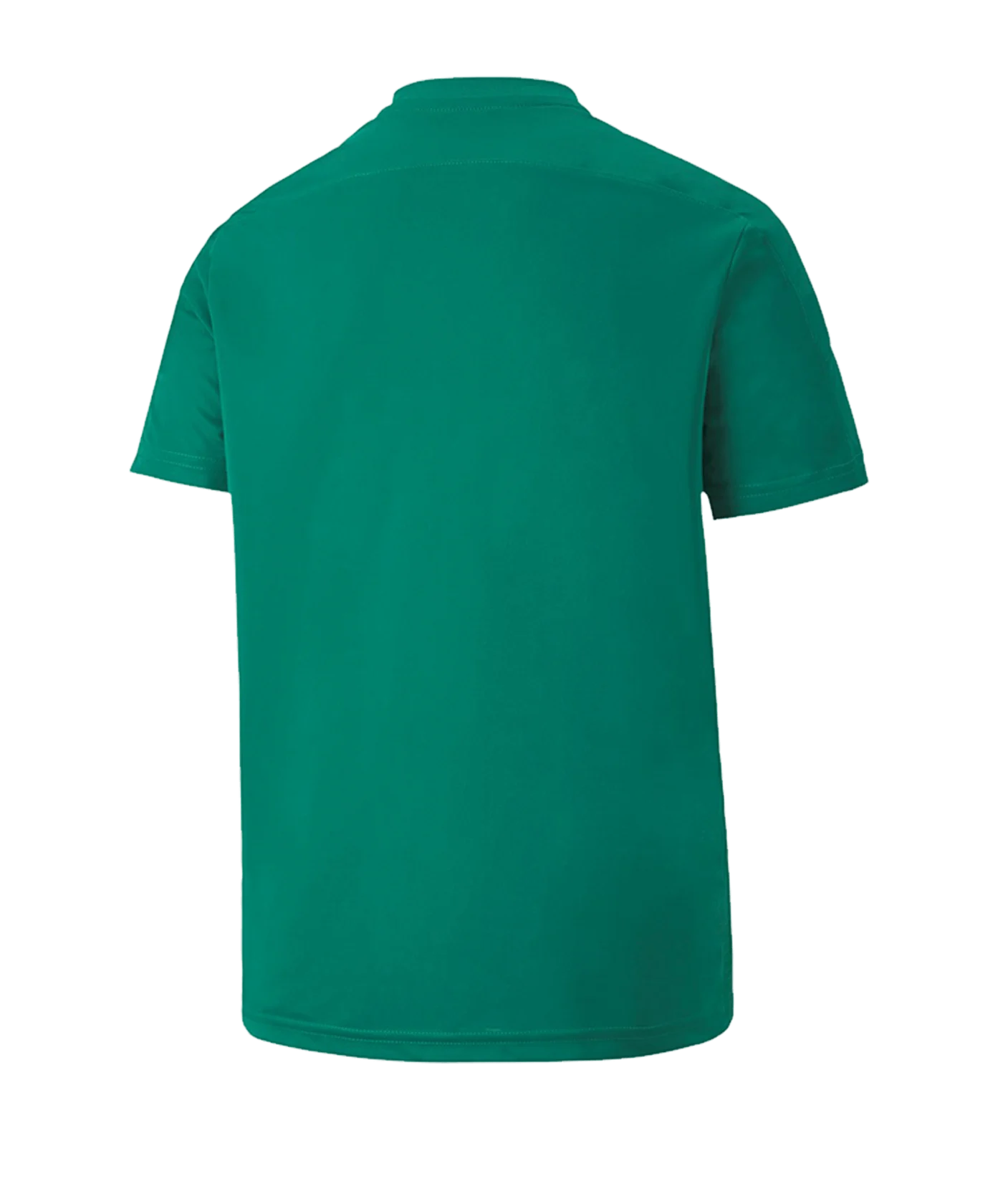 PUMA teamFINAL 21 Graphic Trikot kurzarm Kids F05