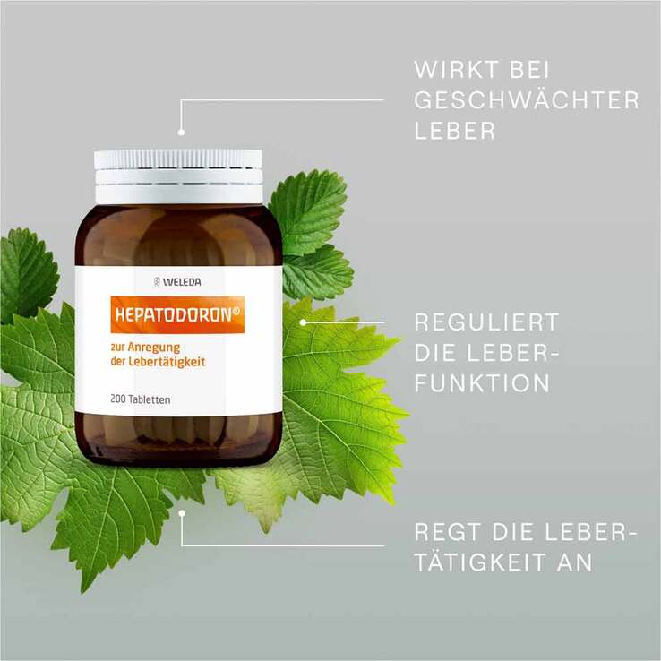 Hepatodoron Tabletten, 200 St