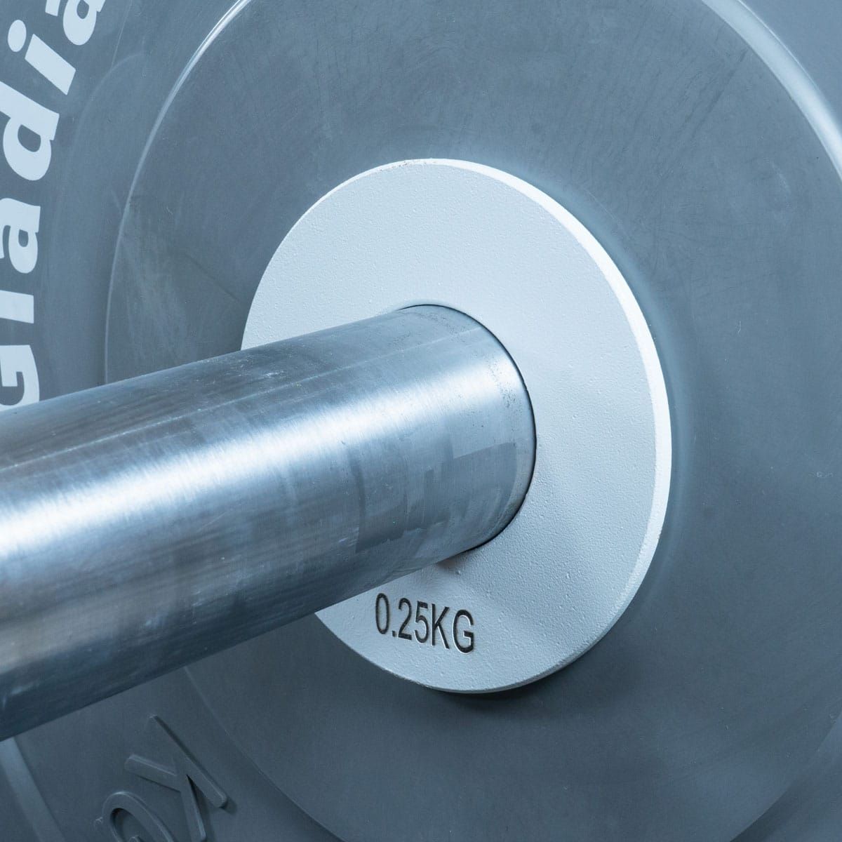 Fraktionale Zusatzscheibe 0.25kg aus Metall O 51mm
