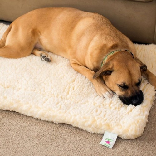Tapete de lã para animais de estimação HuggleHounds