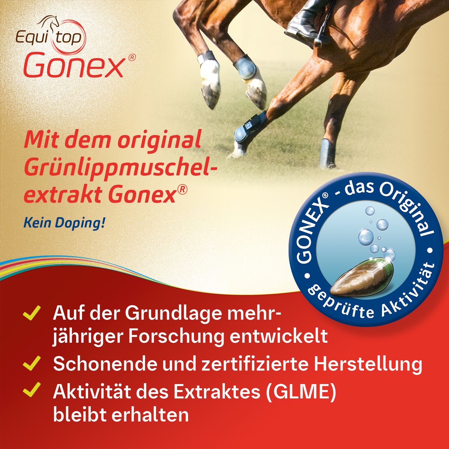 Equitop Gonex