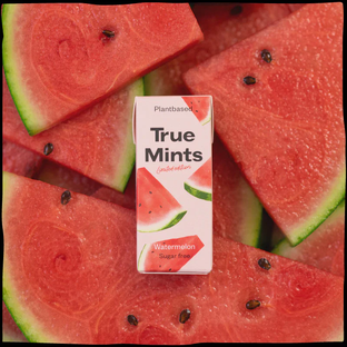True Gum Mints Watermelon Pastilles 13GR