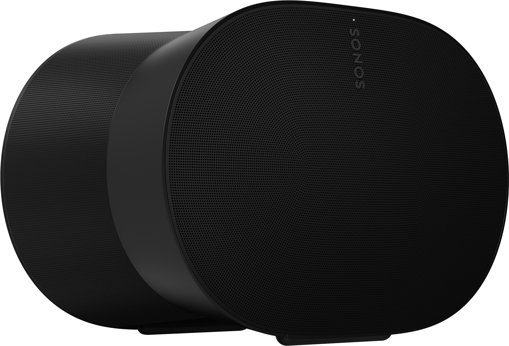 Era 300 Premium Smart Speaker
