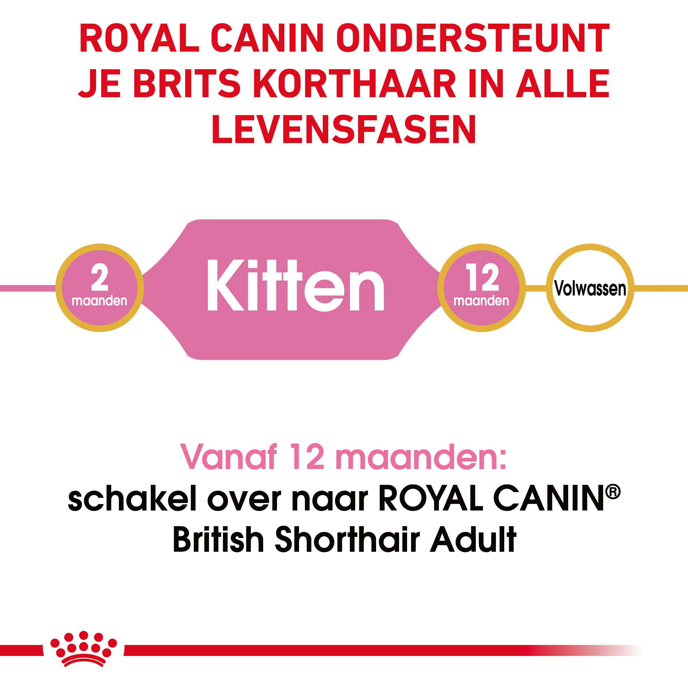 Royal Canin Britse Korthaar Kitten - Kattenvoer - 2 Kilogram - Gevogelte