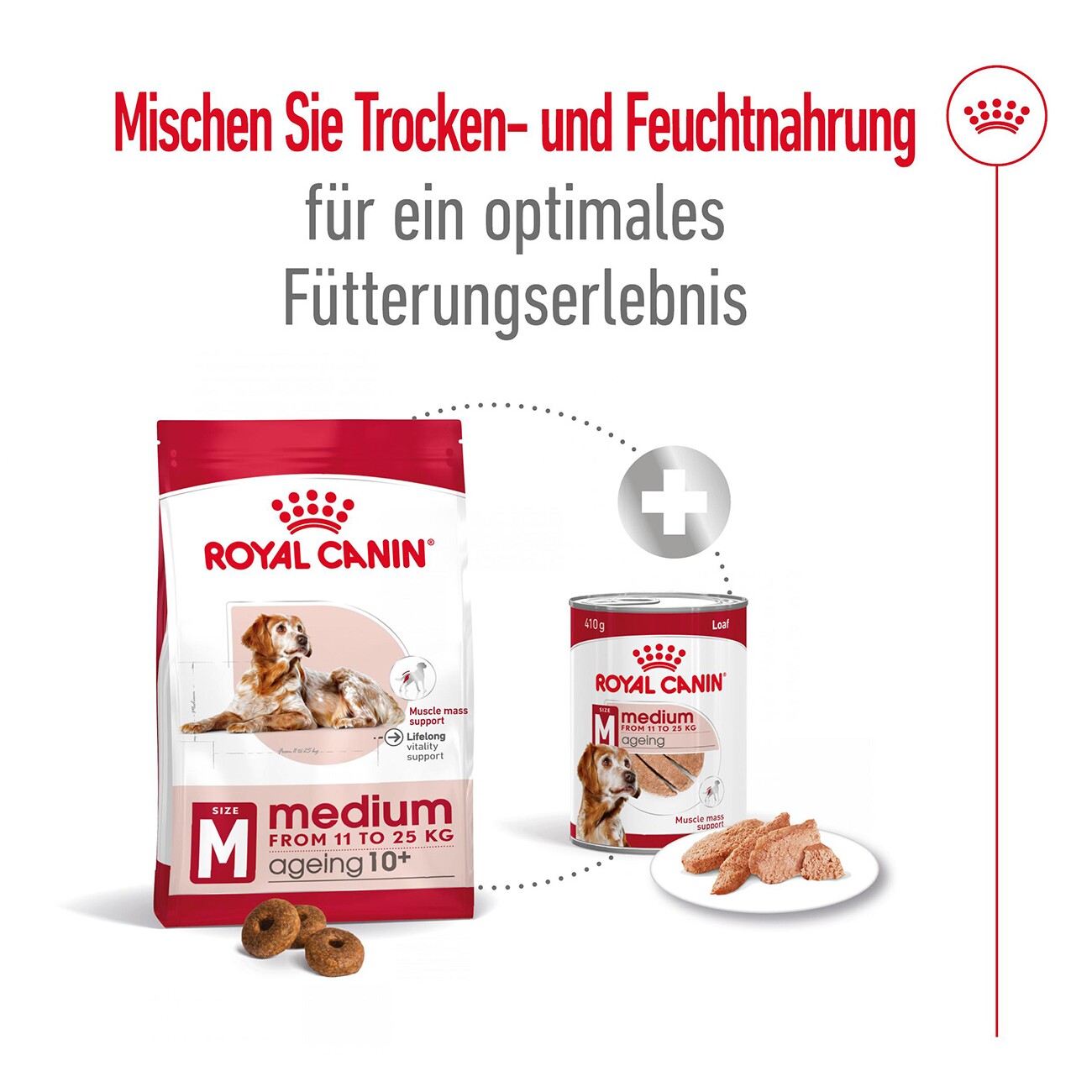 ROYAL CANIN Medium Ageing Mousse 12x410 g