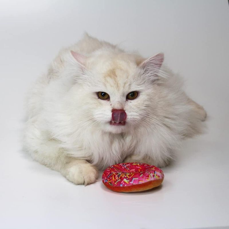 Jouet Croci Bakery Street Donut à l'herbe à chat