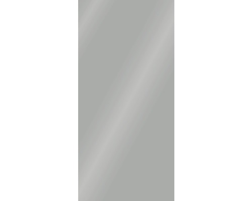 SCHULTE DecoDesign douchewandpaneel, effen kleur reflexgrijs hoogglans, 210 x 100 cm, D19010213 763
