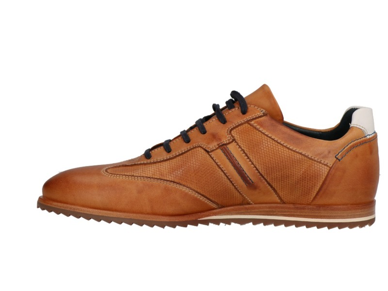 Will Lester 36305 Cognac/donkerbruin