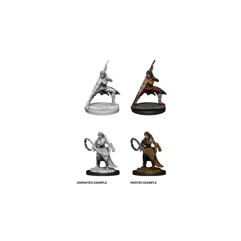 D&D Nolzur's Marvelous Unpainted Miniatures: Human Monk Female