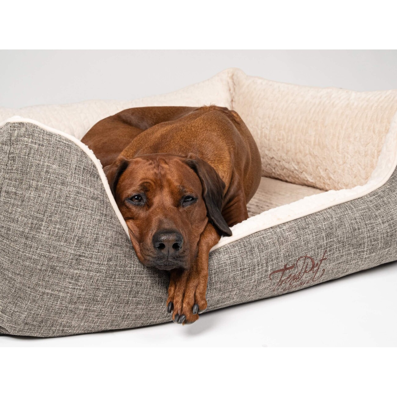 TrendPet VitaBed Classic orthopädisches Hundebett beige S