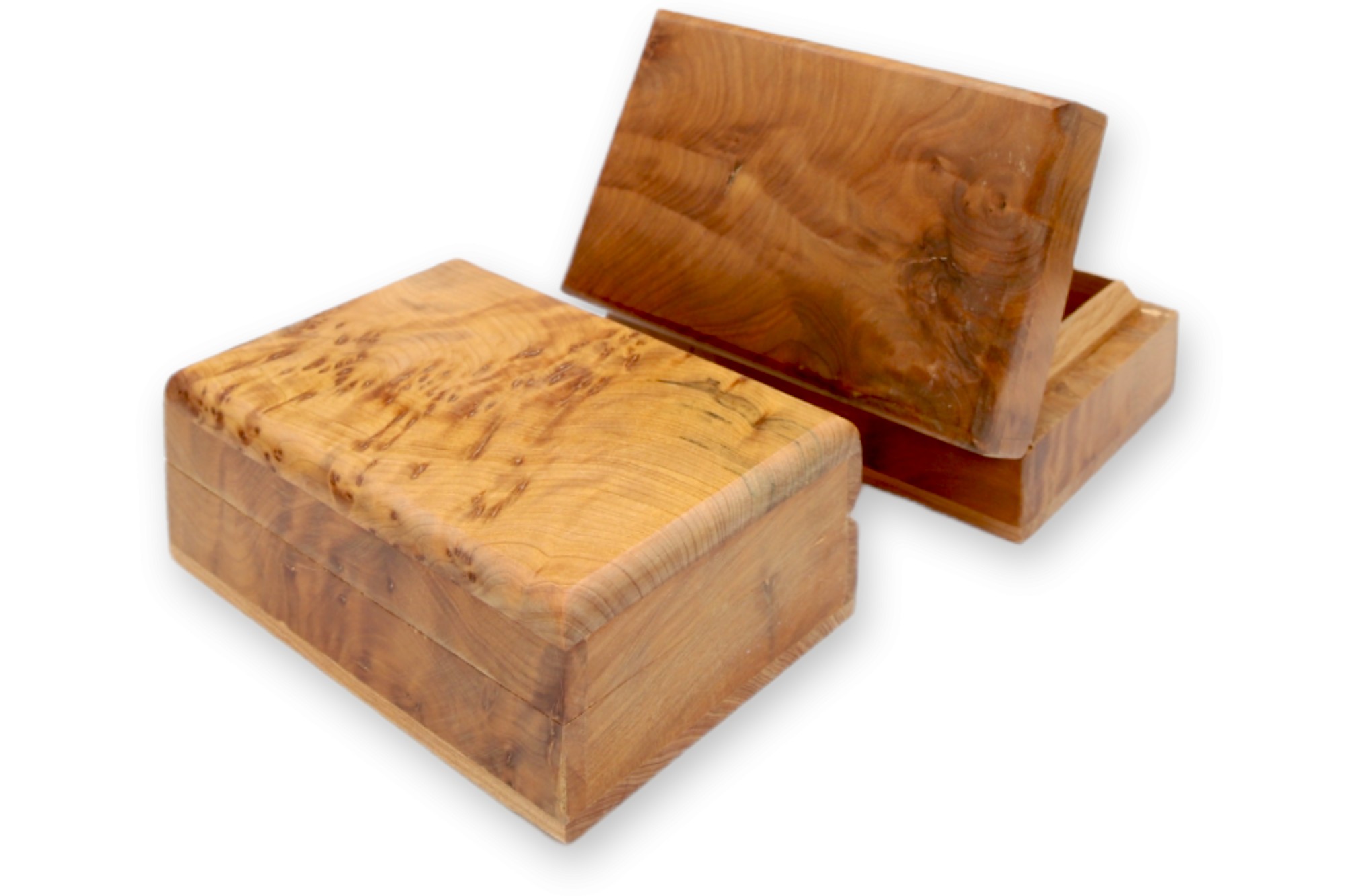 Thuja Box, B 12 cm, L 8,5 cm, H 5,5 cm von fischer's lagerhaus