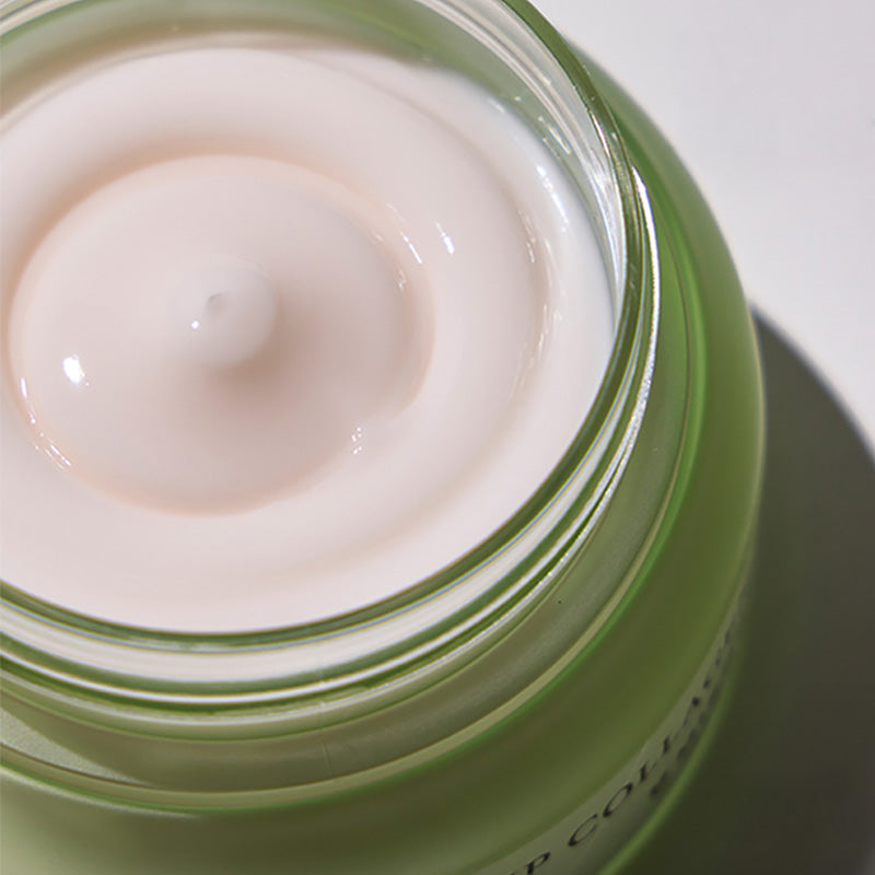 Phyto Plump Collagen Night Cream