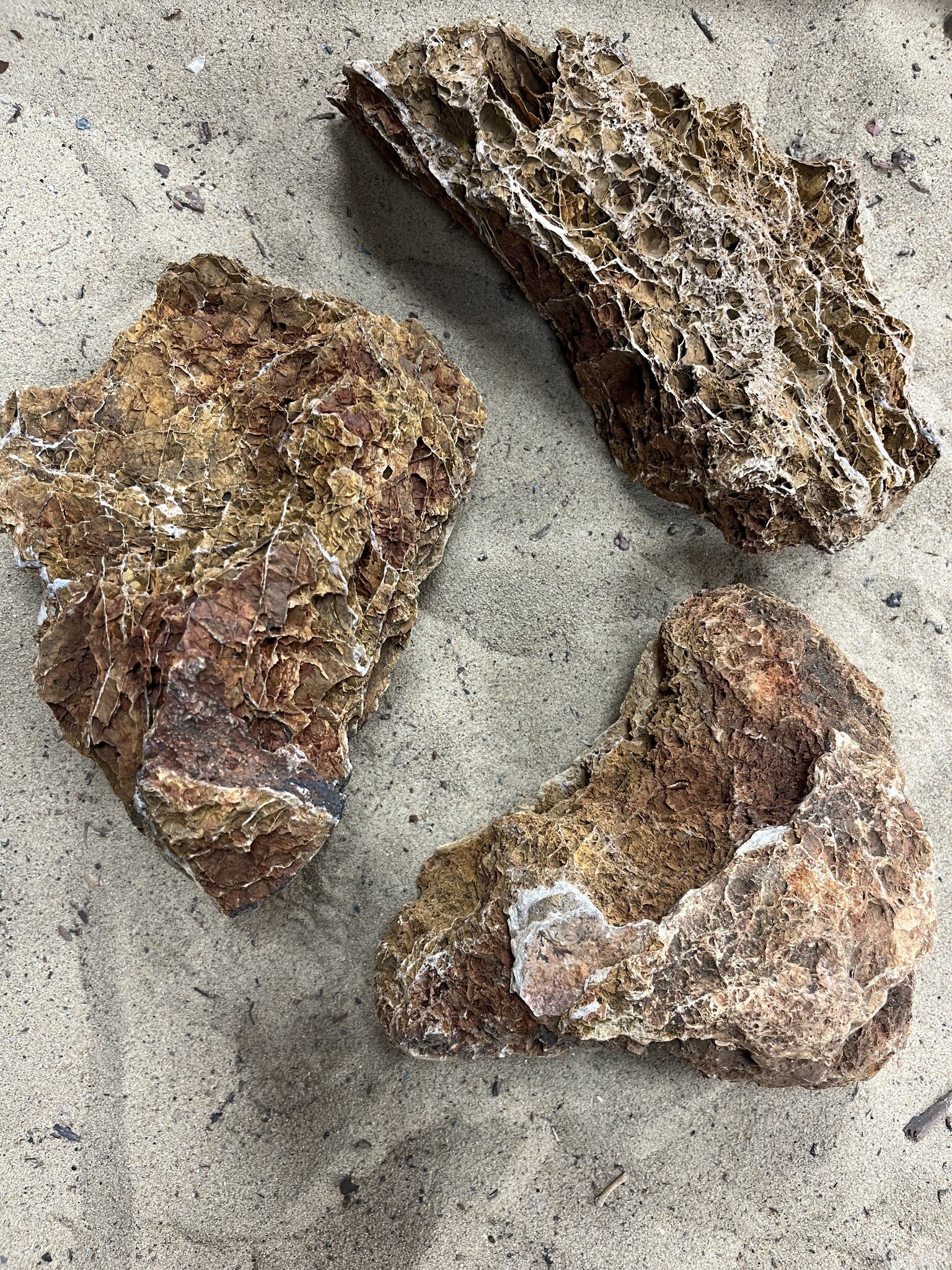 AQXL selected B Steenbundel Maple Leaf Rock bruin 3 stuk | Hardscaping
