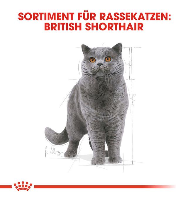 ROYAL CANIN® Trockenfutter für Katzen