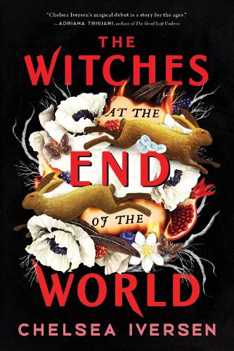 The Witches at the End of the World (Paperback)