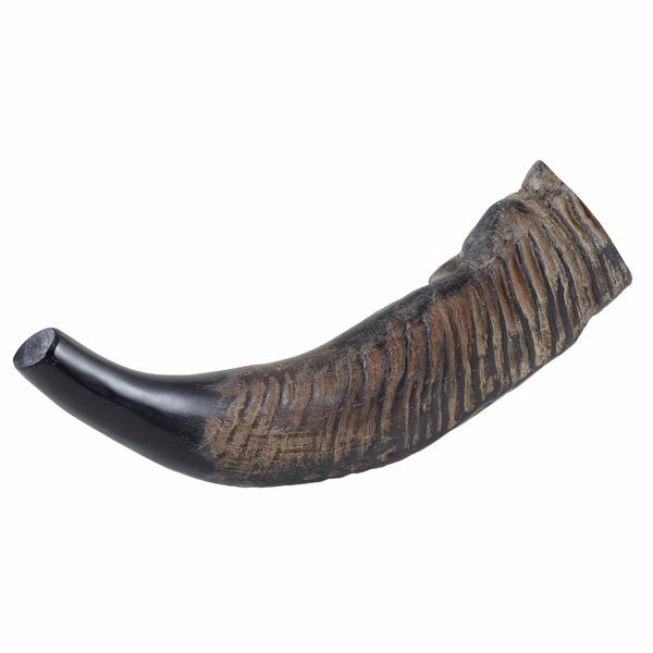 Thomann Water Buffalo Horn